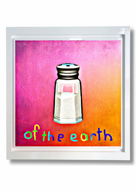Image 3 of Salt of The Earth | Alex Echo